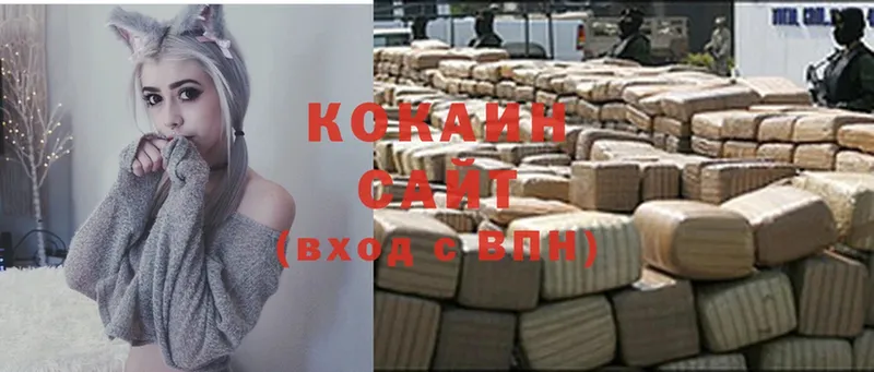 Cocaine VHQ  купить закладку  Каргополь 