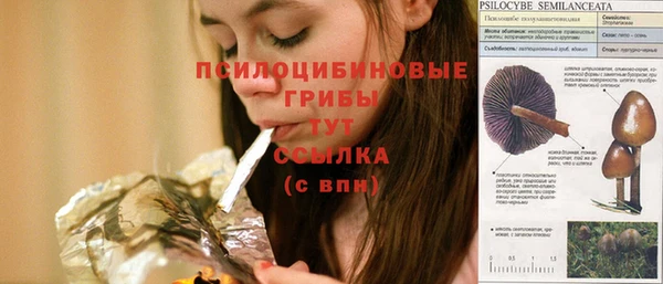 шишки Бугульма